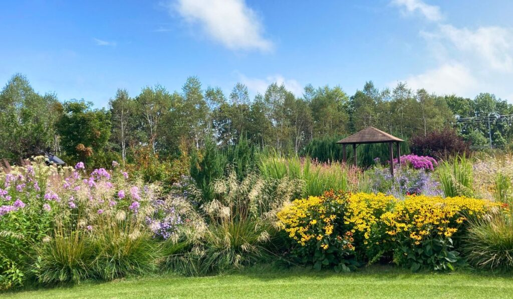 大森ガーデン紹介