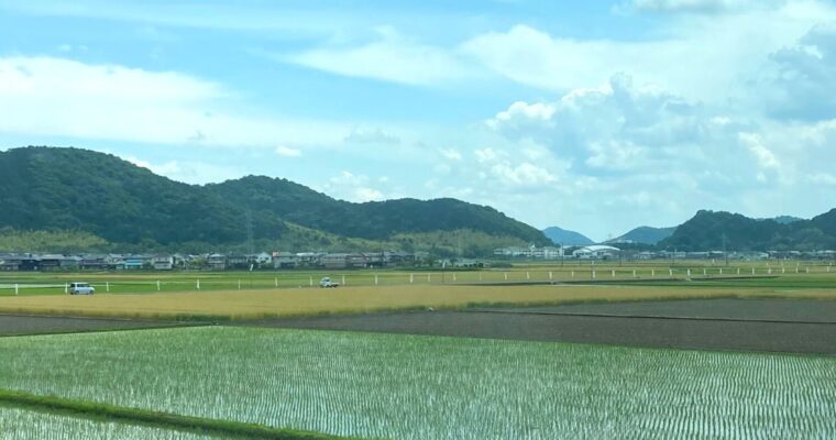 フリーランス初出張！ 守山へ