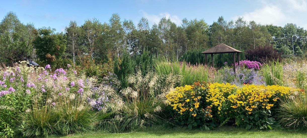 大森ガーデンさんのお庭