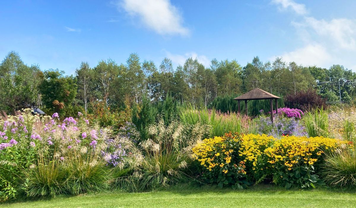 大森ガーデン紹介